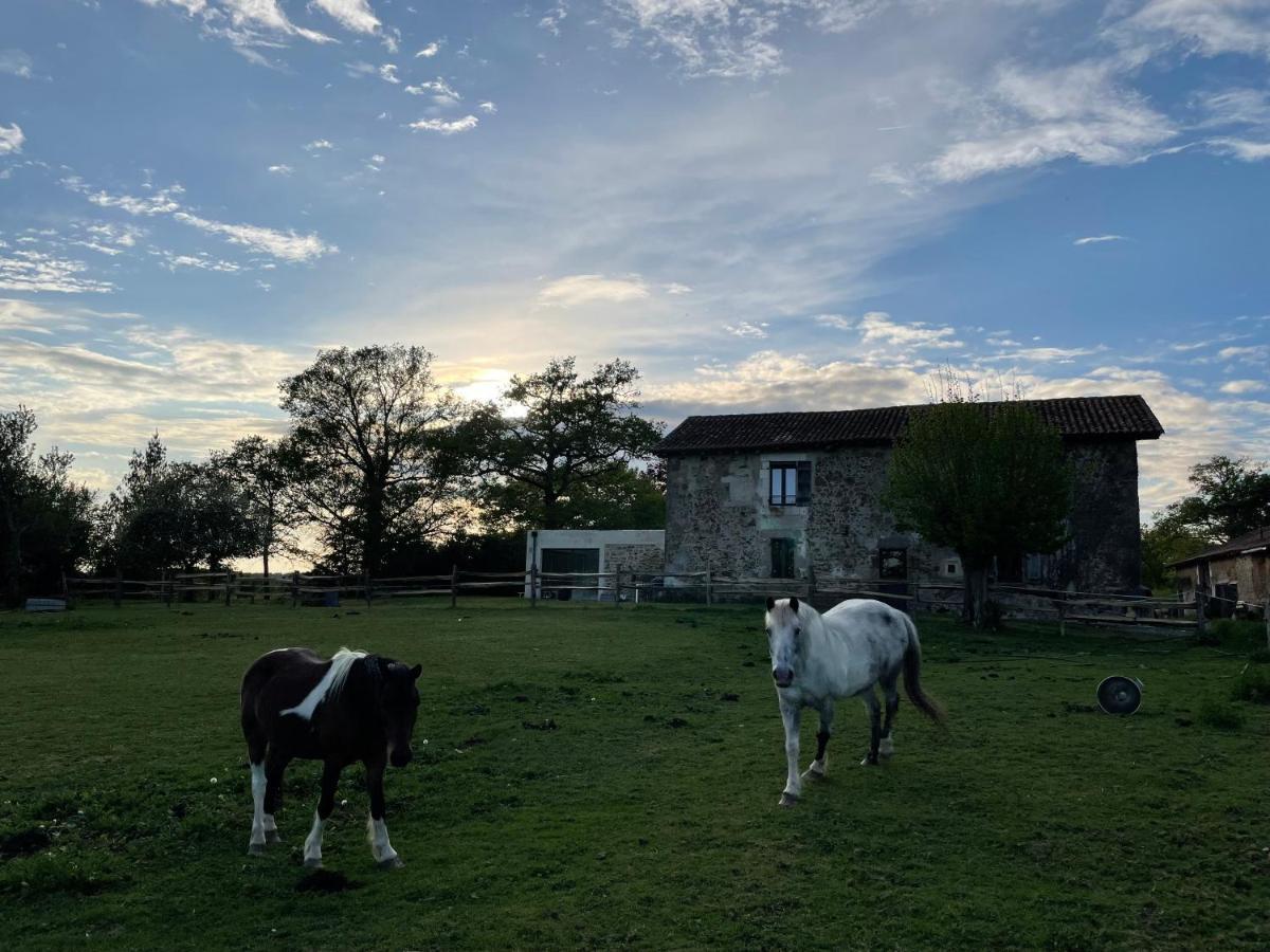 Gite A La Campagne Au Bord D'Un Lac 8 Personnes Saint-Quentin-sur-Charente Bagian luar foto